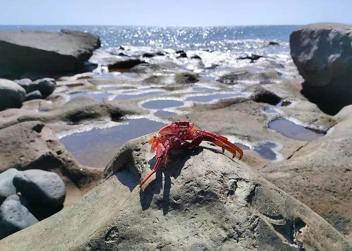 Semesterbostad Brisita *